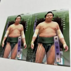 Item thumbnail for item ac215413-be61-4774-9e5b-a6aabbe33068