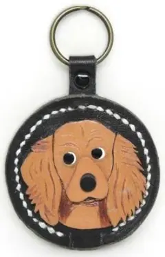 【リバーシブル】ぷっくりマメ肉球＆ゴールデンレトリバー　251107⑤