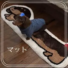 マット ダックスフンド ラグ ミニチュアダックス　犬