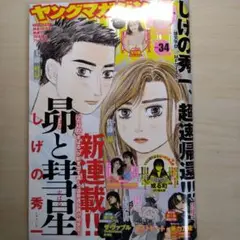 《最新刊★7/22発売 》週刊ヤングマガジン34号