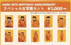 HARU 19TH BIRTHDAY ANNIVERSARY 生写真セット