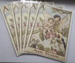 Item thumbnail for item c6a2839f-6e94-4925-b315-a5a2647296c7