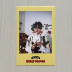 StrayKids リノ シーグリ 2023 特典 ポラロイド
