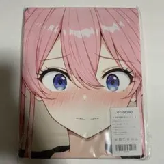 34OTAMONアニメバスタオル　タペストリー　シークレット