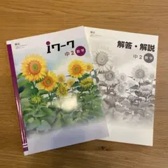 2025年最新】iワーク 中2の人気アイテム - メルカリ