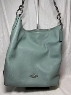 COACH ショルダーバッグ ペブルドレザー ライトグリーン - メルカリ