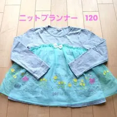 Item thumbnail for item 92446646-5a39-4bbf-bc94-e3dbcbf7e41d