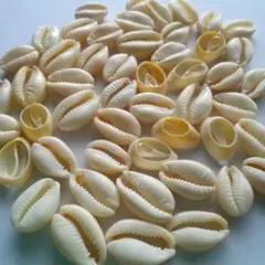 玄米茶様 リクエスト 2点 まとめ商品