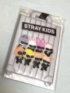StrayKids RUN IT アプグレ特典 ラゲッジタグ