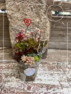 メル10935様 リクエスト 2点 まとめ商品