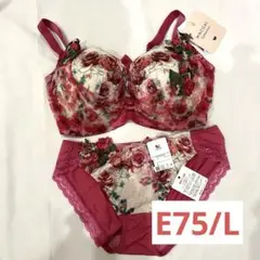 下着ショーツ