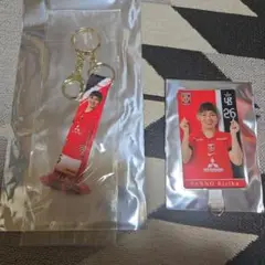 浦和レッズレディース　丹野選手 タオマフキーホルダー　フォンタブ　セット 26