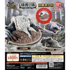 2025年最新】タマミツネ希少種の人気アイテム - メルカリ