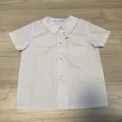 Item thumbnail for item 95489097-74a4-4ea9-8b07-710ab29ea23f