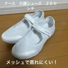 Item thumbnail for item 228a5c96-830e-4efd-bf80-8687e3c9db46