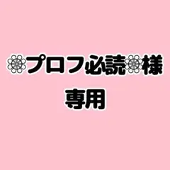 ❁⃘プロフ必読❁⃘様 専用