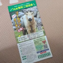 富士サファリパーク 1名様無料ご招待券 有効期限9月30日㈬のサムネイル