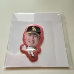 ソフトバンクホークス 杉山一樹 立体グリッターシール