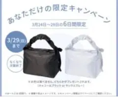 資生堂クーラーランチトート　限定キャンペーンバッグ　サックスブルーのサムネイル