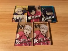 ハイキュー!! ゴミ捨て場の戦い アクリルブロック 4種5個セット