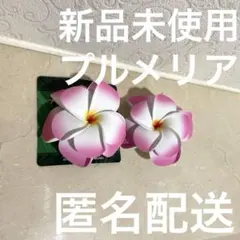 フラダンス用 ハワイ　ヘアアクセサリー 花型 ピンク　2セット