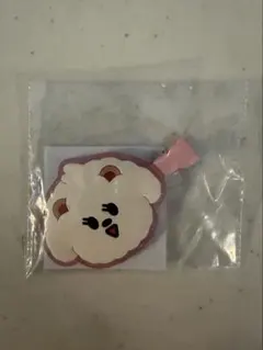 TXT カプセルトイ　バムグッ　ヘアクリップ　ヘアピン