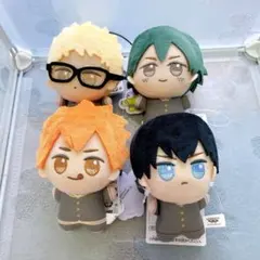 月島 山口 影山 日向 ハイキュー!! サンリオキャラクターズ ぬいぐるみ