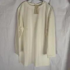 Item thumbnail for item d839f2d6-efac-4a2c-9dfd-fadc7197c193