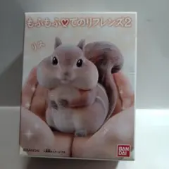 もふもふてのりフレンズ　リス◎