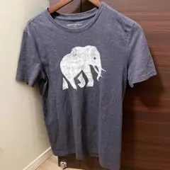 Item thumbnail for item f06e94a8-18a2-4773-9f6a-fd101ec5609f