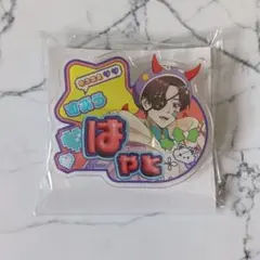 WIND BREAKER でびデコパーカー お名前バッジ 蘇枋隼飛