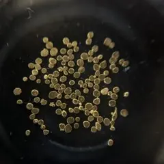 2025年最新】土肥金山 砂金の人気アイテム - メルカリ