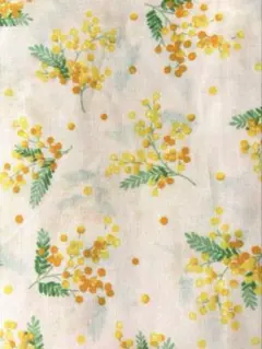 Item thumbnail for item 0d072fab-7707-4202-ada0-95f4ff7dda8c