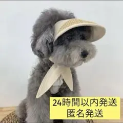 Item thumbnail for item 2de05d6a-0a7d-4fcb-8d72-4fa2302f1bf9