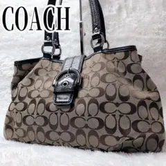 【美品】Coach コーチ　ハンドバッグ　ハンプトンズ　パイソン　シグネチャー 美品】Coach コーチ ハンドバッグ ハンプトンズ パイソン シグネチャー