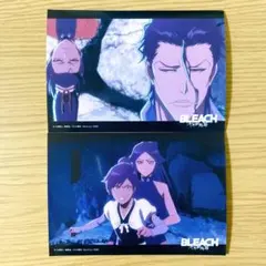 BLEACH 千年血戦篇 ニジゲンノモリ 検定特典 ブロマイド - メルカリ