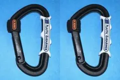 Item thumbnail for item e7a2467d-27e7-4d7f-af5a-b447fa930b68