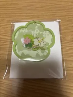 ポケモン　みだれざき　アクキー　シェイミ