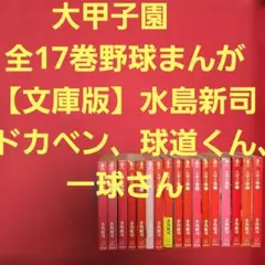 [文庫版]　大甲子園　全17巻＆球道くん　全11巻＆一球さん　全8巻/水島新司 大甲子園 全17巻 野球まんが【文庫版】水島新司 ドカベン、球道くん