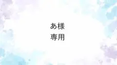 あ様専用　No55ジェルネイルチップ