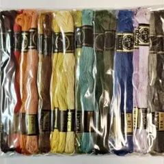 8132 ビオレー 刺繍糸 25番 40束セット