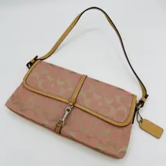 【美品希少色】コーチ ワンショルダー シルバー金具 シグネチャー キャンバス