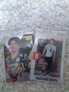 ツインウエハースカードバレーボール日本代表　関田誠大