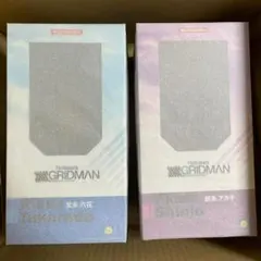 SSSS.GRIDMAN 宝多六花&新条アカネ 水着フィギュアセットのサムネイル