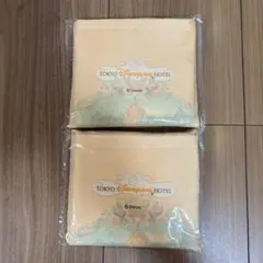 東京ディズニーランドホテル エコバッグ 2個セット