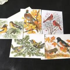 アメリカ　秋と冬　小鳥　キジ　カード