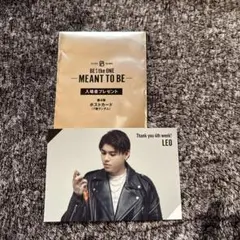 MEANT TO BE レオ ポストカード
