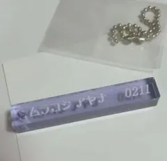 村越　彩菜❁ミニルームキー