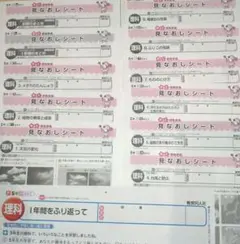 【2025年度　最新版】小5 　理科　大日本図書　教育同人社　見なおしシート 他のサムネイル