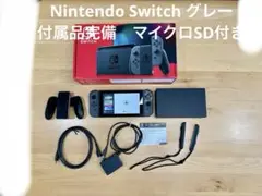 Nintendo Switch グレー 本体一式 付属品完備　保護フィルム